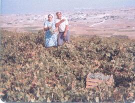 Filomena and Saver picking grapes