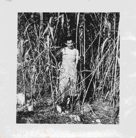 Open original Oggetto digitale