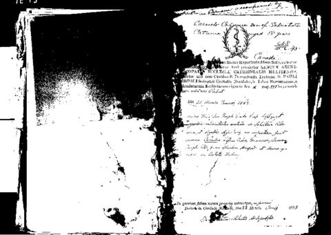 Open original Oggetto digitale