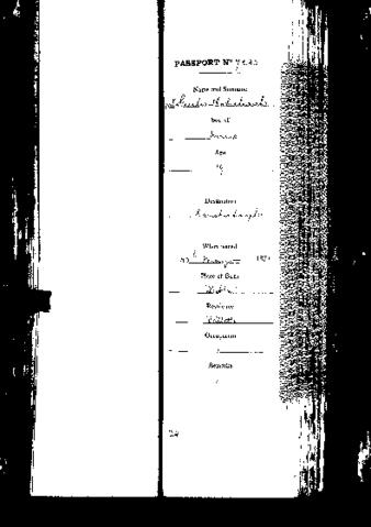 Open original Digital object