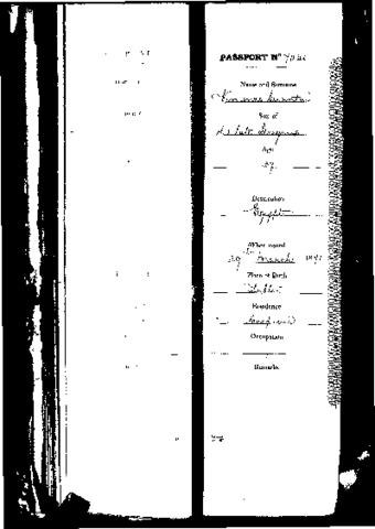 Open original Digital object