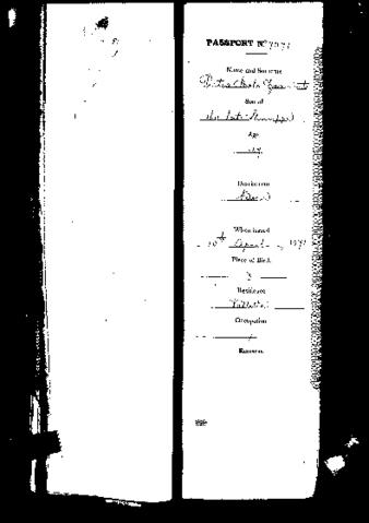 Open original Digital object