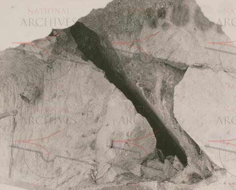 Open original Oggetto digitale