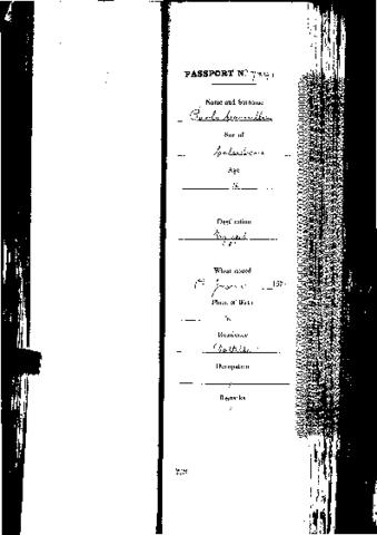 Open original Digital object