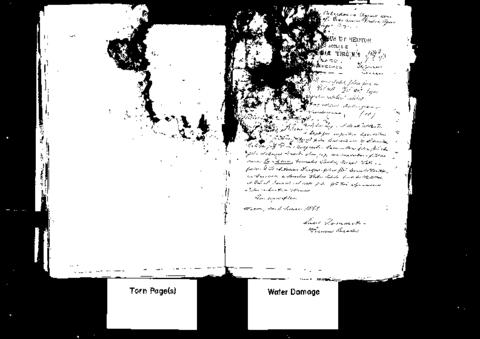 Open original Oggetto digitale