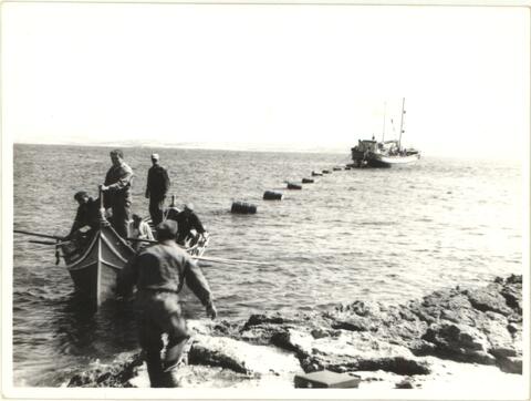 Open original Oggetto digitale