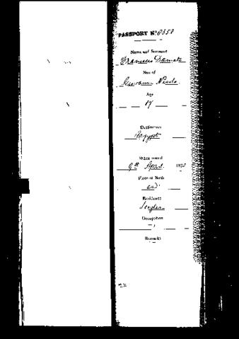 Open original Digital object