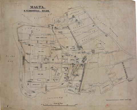 Open original Oggetto digitale