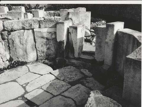 Open original Oggetto digitale