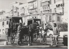 Karrozzin - Horse Drawn Cab