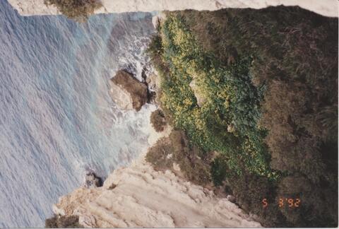 Open original Oggetto digitale